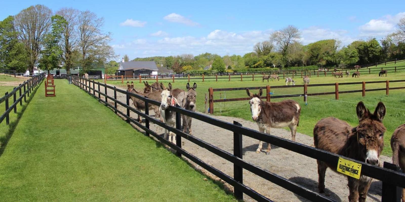 Charleville Park Hotel & Leisure Club Ireland Eksteriør billede